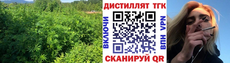 Дистиллят ТГК вейп  Пугачёв 