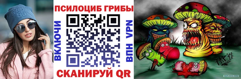 купить сайты MEGA ССЫЛКА Галлюциногенные грибы мухоморы Пугачёв